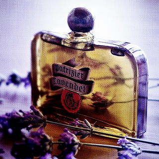 Patrizier Lavendel - Jünger & Gebhardt