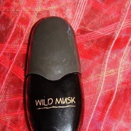Wild Musk - Coty