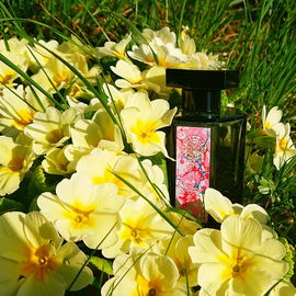 Le Chant de Camargue - L'Artisan Parfumeur