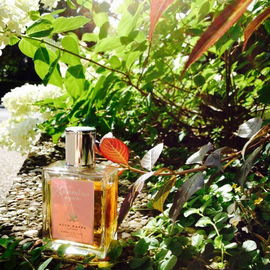Giardino Segreto - Acca Kappa