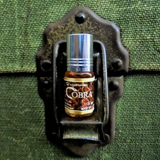 Die Schlange am alten Reisekoffer