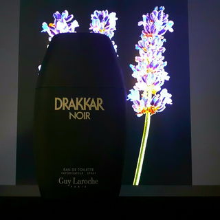 Drakkar Noir (Eau de Toilette) von Guy Laroche