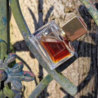 Amorvero (Eau de Parfum) by Hassler