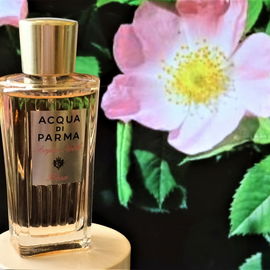 Acqua Nobile Rosa - Acqua di Parma