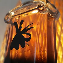 La Petite Robe Noire (Eau de Parfum Nectar) - Guerlain