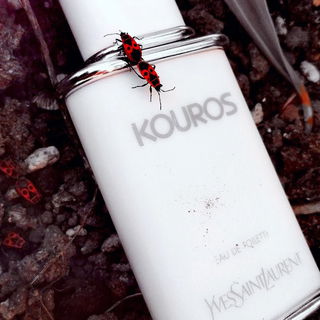 Jungle pour Homme (Eau de Toilette) - Kenzo