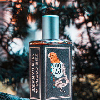 The Cobra & The Canary - Imaginary Authors