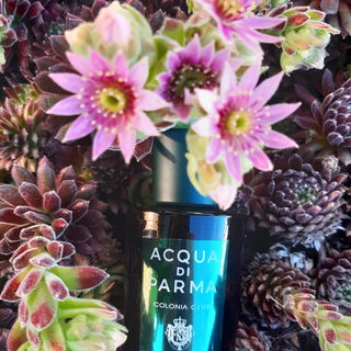 Colonia Club (Eau de Cologne) - Acqua di Parma