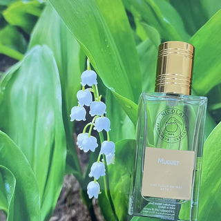 Muguet / Une Fleur en Mai by Nicolaï