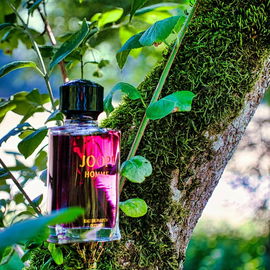 Joop! Homme (Eau de Parfum Intense) - Joop!