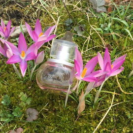 L'Eau pour Femme - S.T. Dupont