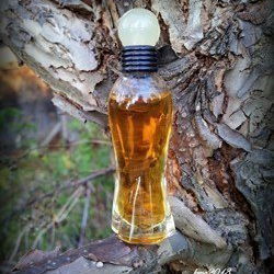 Catalyst (Eau de Toilette) - Halston