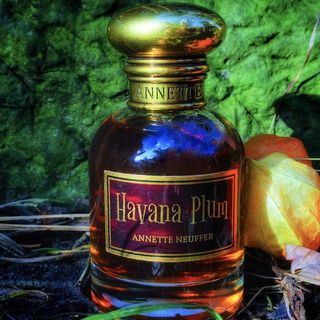 Havana Plum von Annette Neuffer