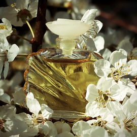 Beautiful (Eau de Toilette) - Estēe Lauder