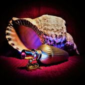 Sünteese (von Floyd)