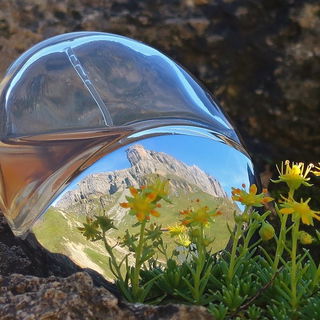 Présence d'Une Femme