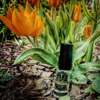 Neuanfangsfreudetulpen für Harry Lehmann 🌷          https://www.parfumo.de/forum/viewtopic.php?p=2065619#2065619