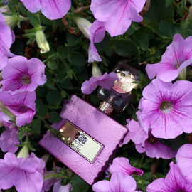 Stunned by purple