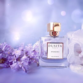 Splendiris - Dusita