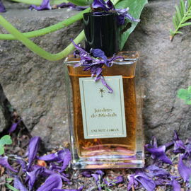 Jardins de Misfah (Eau de Parfum) von Une Nuit Nomade