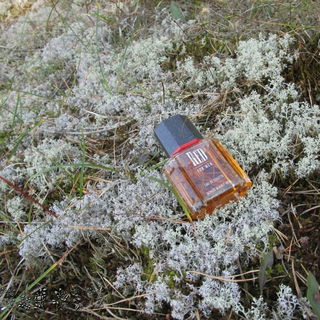 Red for Men (Eau de Toilette) - Giorgio Beverly Hills