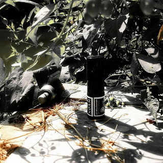 TEXT N.O.A.M 🔴 Datum: 1650 Ort: île de la Tortue, Antilles # Aus dem Dunst löst sich langsam die Bucht von Tortuga. Salzige Gischt im warmen Wind weht von fern zu uns herüber. Aus den Nebeln der Zeit über offenem Meer kehren längst vergessene Schiffe wieder. Noch bevor wir sie sehen, riechen wir ihre Rhumfässer, zieht der Rauch alter Schlachten über das Wasser, die groben Planken aus Tropenholz verleimt mit Teer, den Bauch gefüllt mit geraubten Gewürzen, voller Tabak und Teeblätter. Dann sehen wir an Deck die Freibeuter, sie tragen alte geflickte Kleider, Stulpenstiefel aus wildem Leder und Filzhüte aus Ruß und Meerwasser. Die Schiffe geistern durch schemenhafte Bilder, riechst Du schon das Schießpulver?