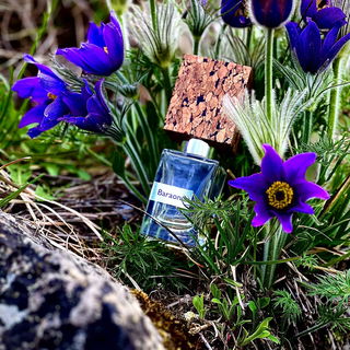 Baraonda (Extrait de Parfum)