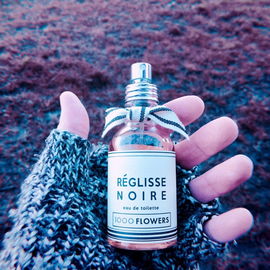 Réglisse narcotique