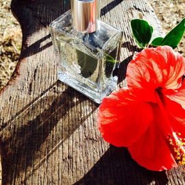 Series Three - Ascent - Six Scents
