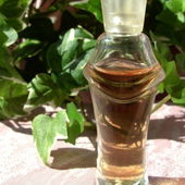 Pacoma - Cassilia - 73 mm - 7 ml - klar (by DonVanVliet)