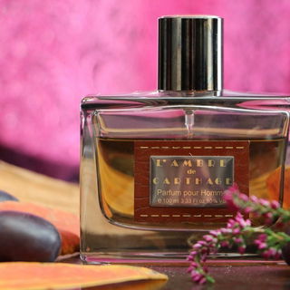 Perle Rare Ambre Carthage / L'Ambre de Carthage (2011) - Panouge