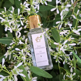 Les Colognes - Eau d'Hadrien by Goutal