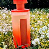 On y va Pesca (von Lieselotte)