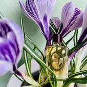 Dem Frühling zugeneigt (von Flakon11e)