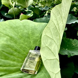Zara Rain N°02 - Bergamot & Leather Spritz - Zara