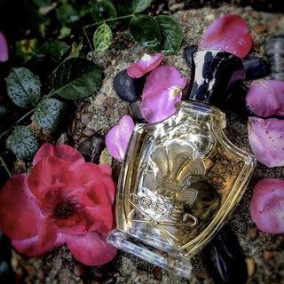 Fleurs de Bulgarie - Creed