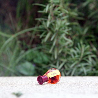 Vanille von Diggers Garden