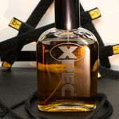 wild: bitte festbinden (by TomLavender)