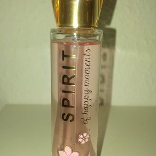 Spirit of Happy Moments - Spirit