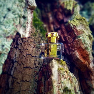 Musk Aoud Absolue Précieux - Roja Parfums