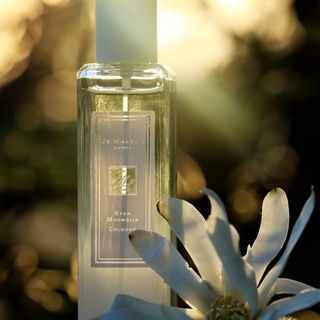 Star Magnolia (Cologne) - Jo Malone