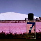 Der Eisberg ist ein Salzberg (von Camey5000)