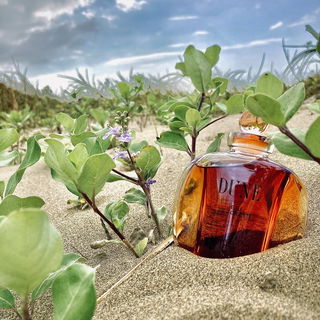 Dune (Eau de Toilette) by Dior