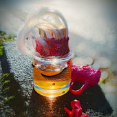 Walk of shame (von Seejungfrau)