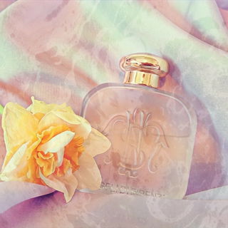 Angeli di Firenze / Angels of Florence - Santa Maria Novella