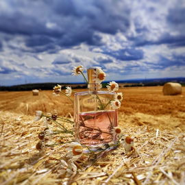 Miracle (Eau de Parfum) - Lancôme