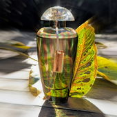 ꧁❈ es gibt ihn doch noch, den goldenen Oktober 🍂 lasst Euch auch davon verzaubern und genießt den strahlenden Sonnenschein 🍁 schnell ist dieser Zauber wieder vorbei 🍂 Tausend Dank für Euren Besuch ❈꧂ (von Flughörnchen)