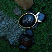 in meinem Garten aufgenommen :-) (von ElenaN)