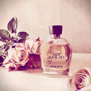 In Aprikosenhonig getränkte Rose, blumig fruchtig süß 🌹 Herzlichen Dank für Eure schönen Besuche, ich freu mich 🌹