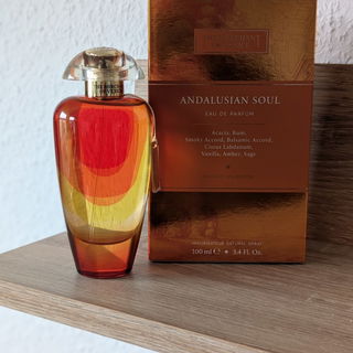 Andalusian Soul by The Merchant Of Venice